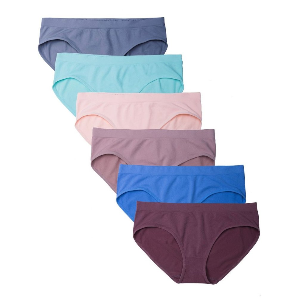 6 Pack Women's Nylon Spandex Hipster Brief Underwear A11 Light Vintage New NWB